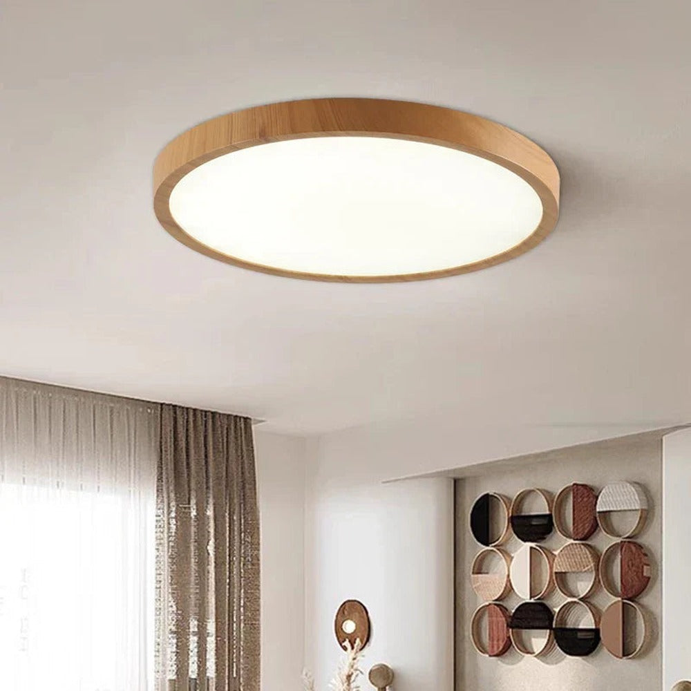 Opus Appliances | Minimalist Ceiling Light for Home