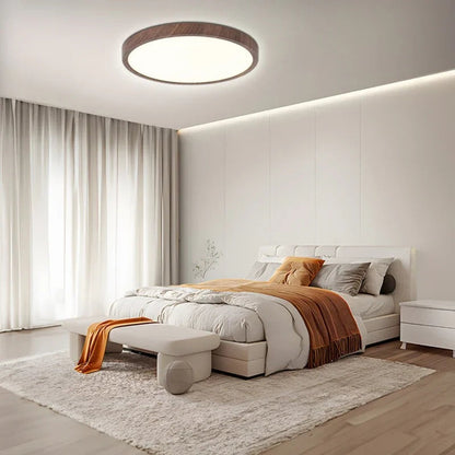 Opus Appliances | Minimalist Ceiling Light for Home