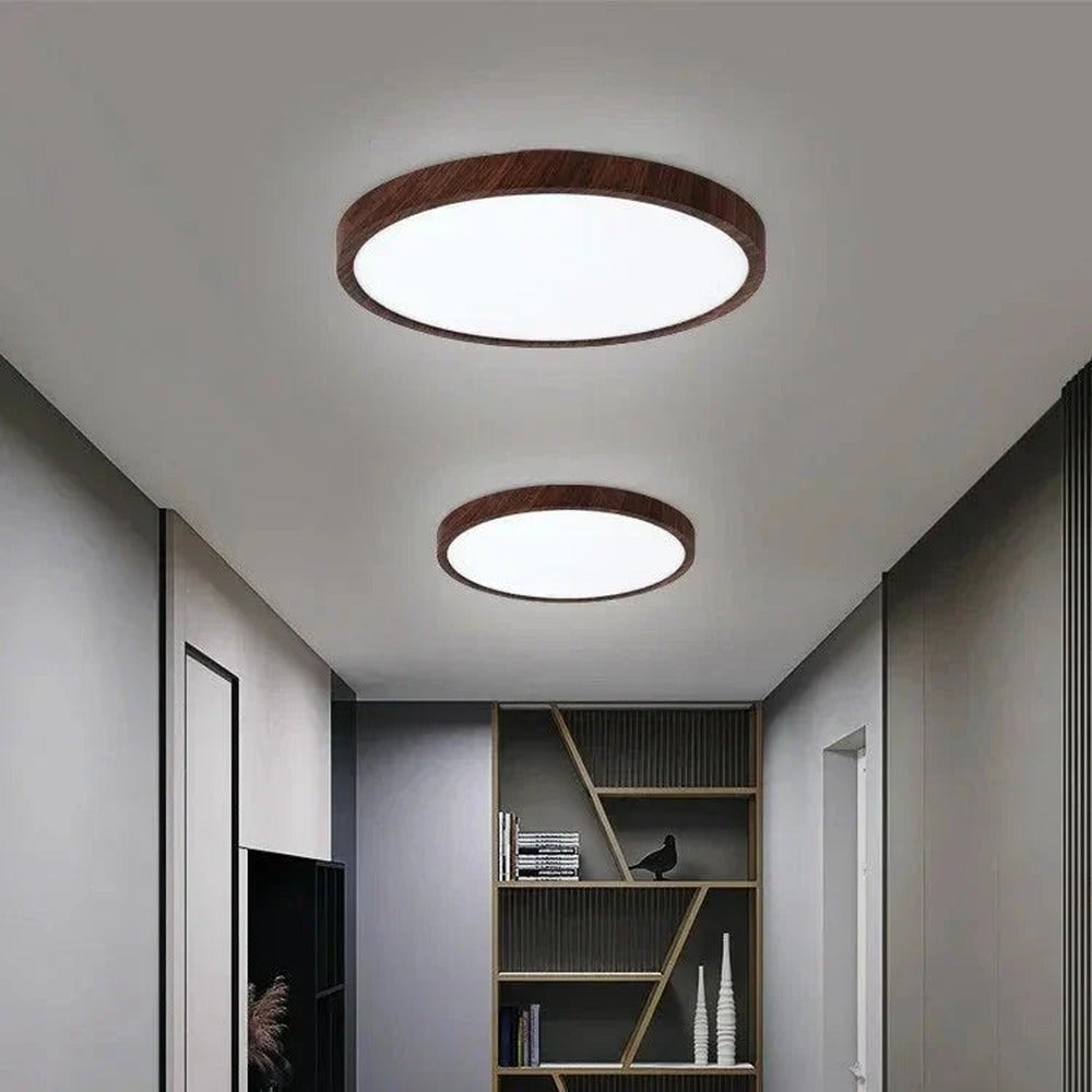 Opus Appliances | Minimalist Ceiling Light for Home