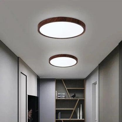 Opus Appliances | Minimalist Ceiling Light for Home