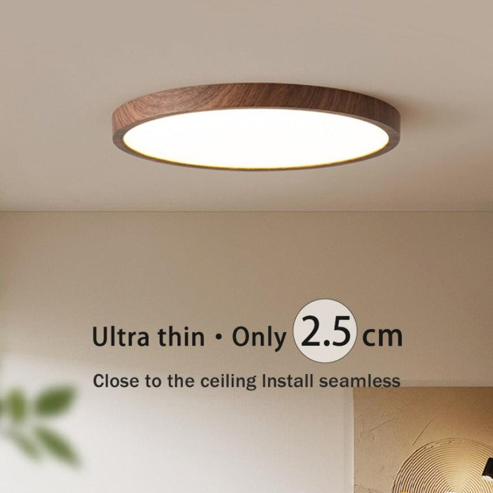 Opus Appliances | Minimalist Ceiling Light for Home