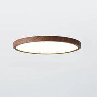 Opus Appliances | Minimalist Ceiling Light for Home