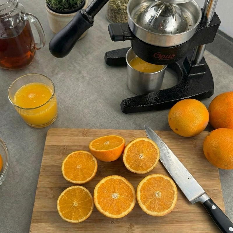 Heavy Duty Cast Iron Manual Juicer Press